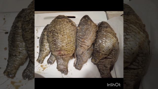 Фаршированный карась в духовке смотреть онлайн