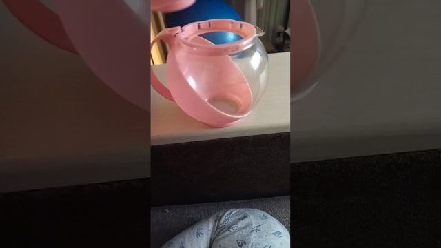 Чайник для заварки смотреть онлайн