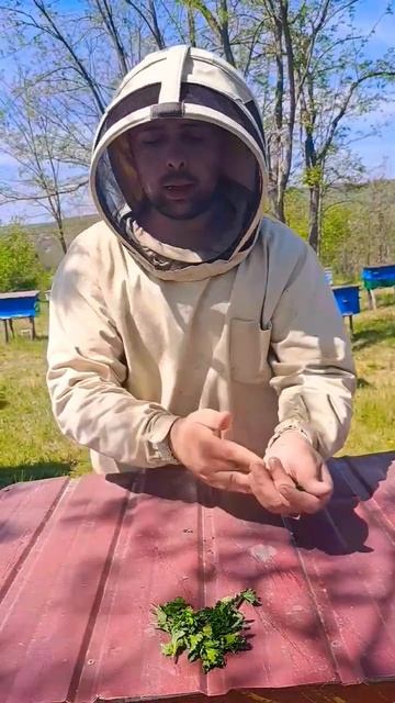 М’ята заспокоює бджіл і приваблює їх до вулика. Це нат смотреть онлайн