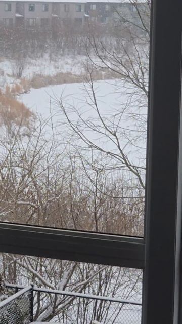 Обожаю в такую погоду сидеть дома и смотреть в окно #cana смотреть онлайн