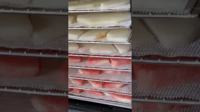 Готовим в сушилке часть первая смотреть онлайн