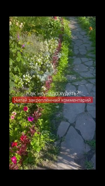 Ошибки во время похудения #похудение#пп#зож#снижениев? смотреть онлайн