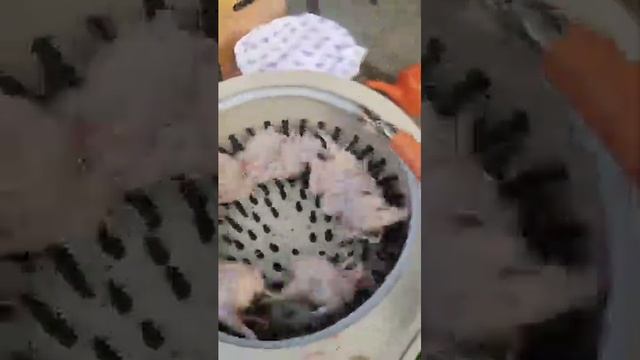 Ощип перепелов, год спустя после покупки машинки смотреть онлайн