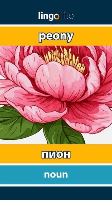 🇬🇧🇷🇺 peony - пион : learn English : давайте учить английский смотреть онлайн
