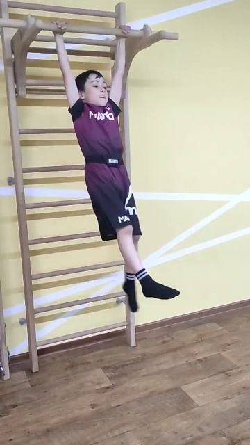 УШУ-САНЬДА. Тренировки. Подтягивание смотреть онлайн