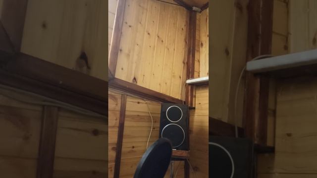 Песня,, У белой березы! Александр Шевцов! смотреть онлайн