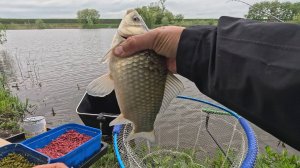 Рыбалка на карася и соревнования по фидеру