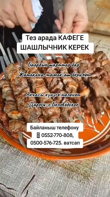 Тез арада КАФЕГЕ ШАШЛЫЧНИК КЕРЕК Дареги: с.Беловодско?