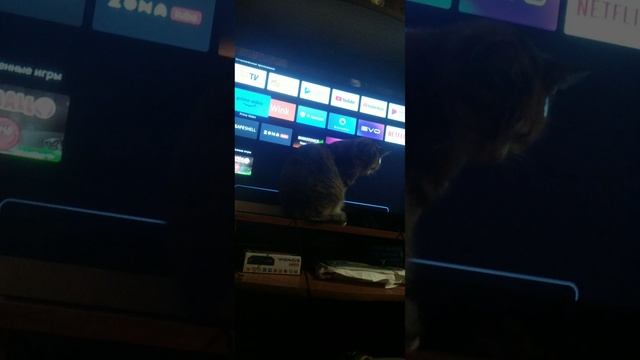 BIG BABY VAPE x MF4 - Год Плохой (Премьера Трека 2025 года) Альбом смотреть онлайн