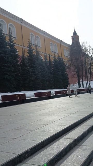 Москва. Вечный огонь. Александровский сад.#москва #про?