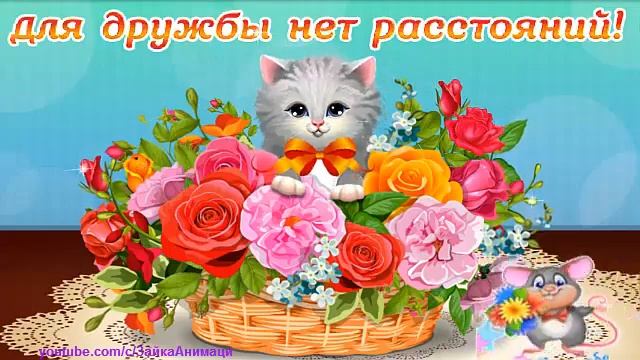 ZOOBE зайка Для Дружбы нет Расстояний ! смотреть онлайн