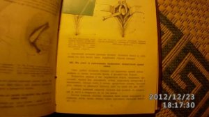 бутылка в попе