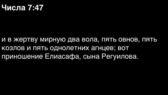 Числа, глава 7 смотреть онлайн