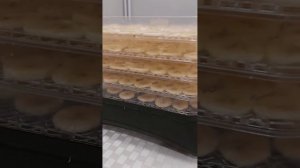 Банановые чипсы в сушилке для фруктов Kitfort KT-1938