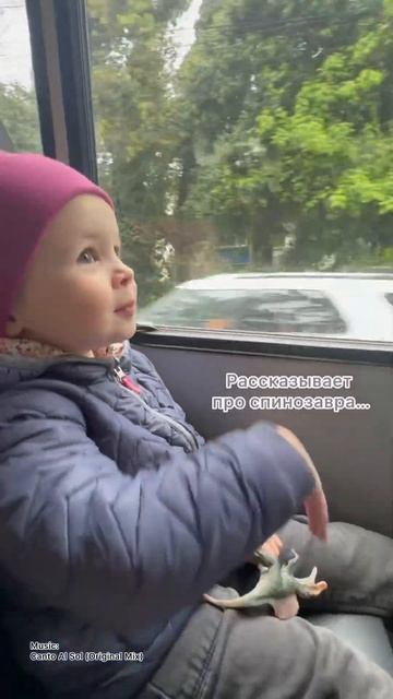 #прогулка #автобус #чистоетворение #счастьеесть #любо? смотреть онлайн