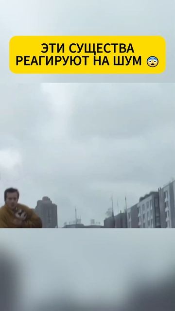 Эти существа реагируют на шум.🤯 Фильм: Тихое место 2. #? смотреть онлайн