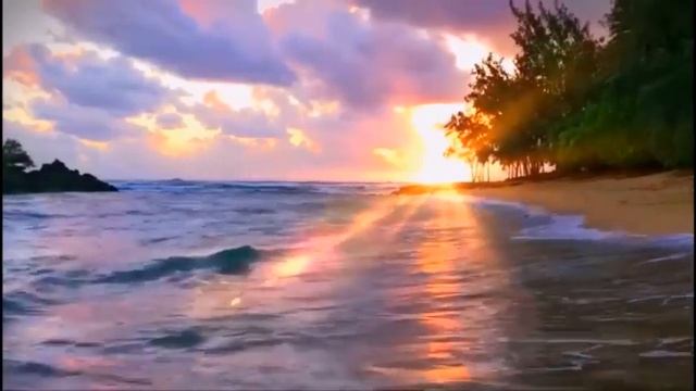 Песни для хорошего настроения на весь день! 2024 #music #musica #bass #car #video смотреть онлайн