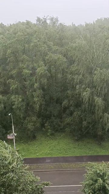 погода в Троицке смотреть онлайн