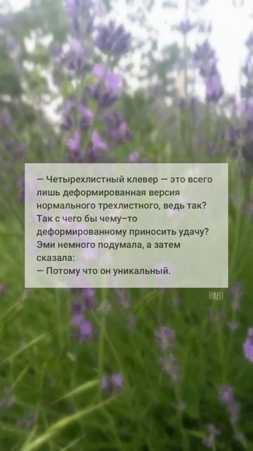 — Четырехлистный клевер — это всего лишь деформирова смотреть онлайн