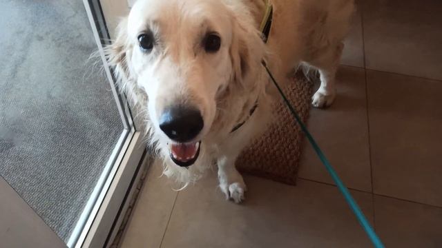 ФОТОГРАФИИ | Видео-клип | ВОСПОМИНАНИЯ | Корометражка смотреть онлайн