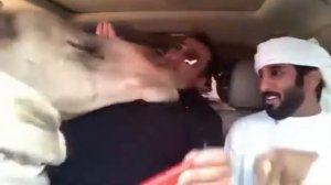 арабский прикол.