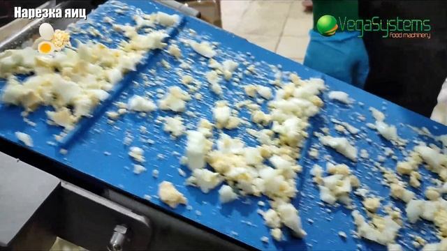 Машина для нарезки мяса Vega Meat Dicer 550 I Нарезка мяса смотреть онлайн