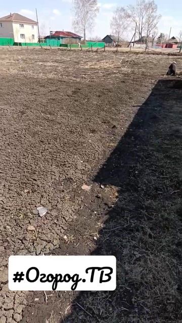 #Огород.ТВ Подготовка Огорода.. смотреть онлайн