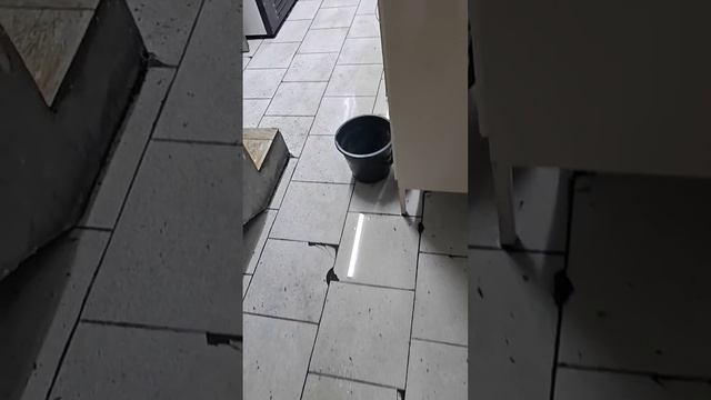 Откачка затопленного подвала смотреть онлайн