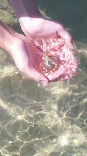 и крабы тут есть 🦀 смотреть онлайн