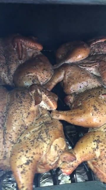 #смокер #брискет #коптим #рецепт #еда #курица #bbq #коптил? смотреть онлайн