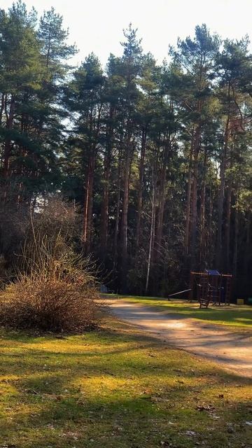 Минск 05.04.2025 🌤️ #погода #weather #minsk #минск #fyr смотреть онлайн