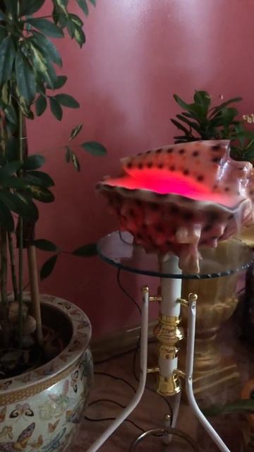 Увлажнитель воздуха - Нoчник "Мушля" смотреть онлайн