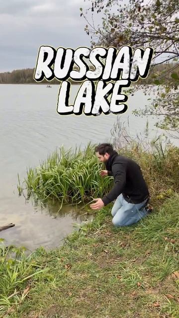 Русский Дух:ест мухоморы и целует березы смотреть онлайн