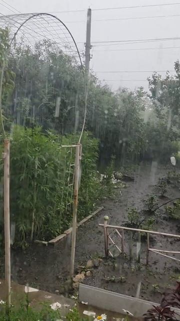 Погода на южном Урале #дача #сад #погода #ливень #южныйу смотреть онлайн