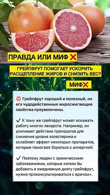Грейпфрукт помогает снизить вес? Миф❌ смотреть онлайн