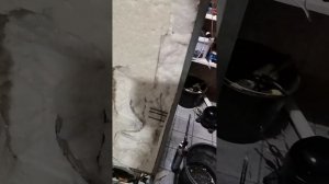 что происходит с холодильником если трещина на задней