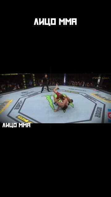 Стерлинг в полулегком весе.... #ufc #mma #shorts смотреть онлайн