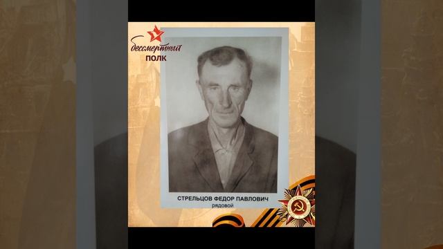 Бессмертный полк смотреть онлайн
