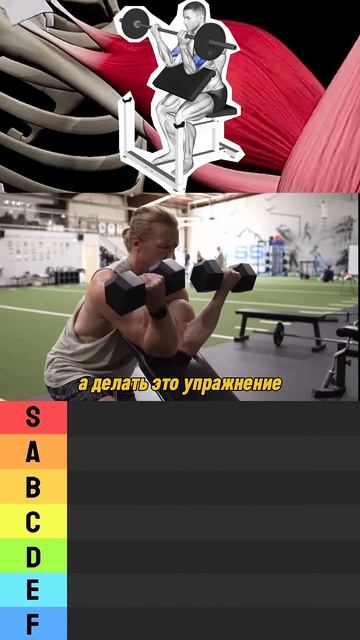 ТИР ЛИСТ БИЦЕПС / Лучшие и Худшие упражнения Часть 6 #shor смотреть онлайн