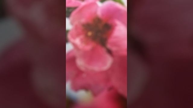 Как проявлять дружелюбие, рассказывает Александр Хакимов