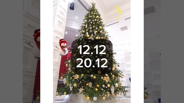 Куда поставить елку.