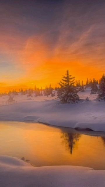 Зимний рассвет очень красиво смотреть онлайн