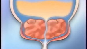 Реклама Простамол Уно Просто будь мужчиной! 2006-2008 (1)