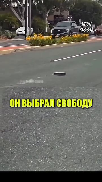 Робот пылесос едет по дороге / Он выбрал свободу / МЕМ #n смотреть онлайн