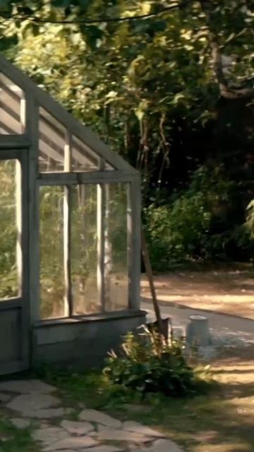 Так и оставляй телефон без присмотра #смехпродлеваетж смотреть онлайн