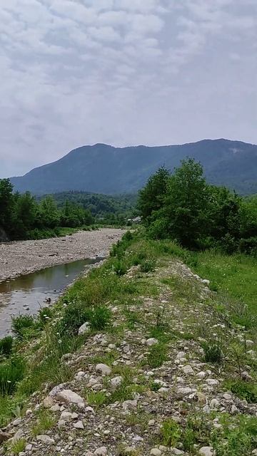 Краснодарский край, река Малое Псеушхо смотреть онлайн