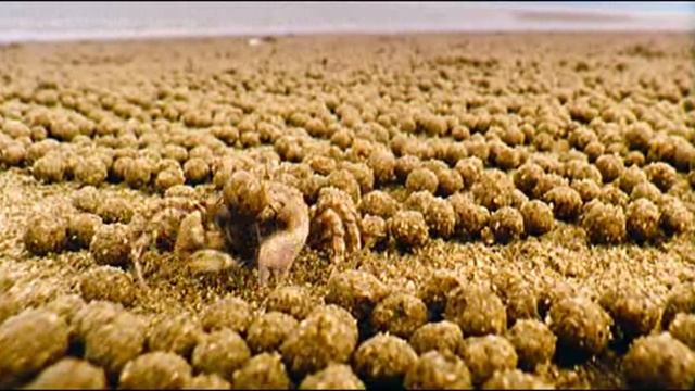 природа смотреть онлайн