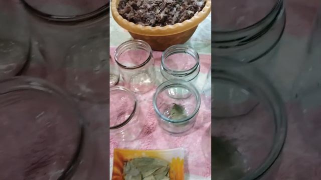 Профессионалы и мастера