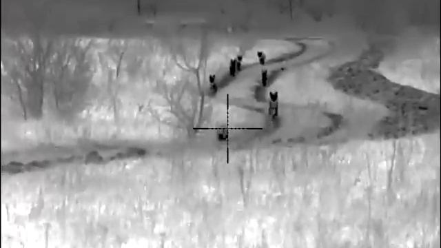 охота на волков. Видео не мое. смотреть онлайн