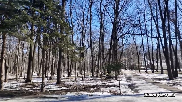 Моя клуша за рулем, что обезьяна с гранатой, смеялся му